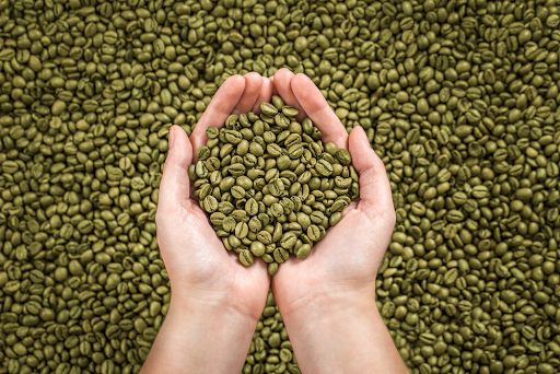 Home | Vietnam Coffee Price Latest 18 October 2026