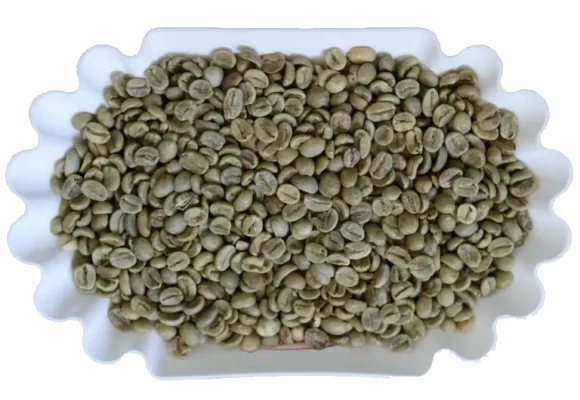 Green Bean Coffee The Leading Vietnam Coffee