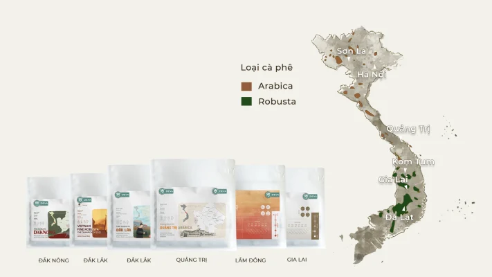 Map Vietnam Coffee Price