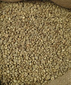 Robusta 18 Uot 1