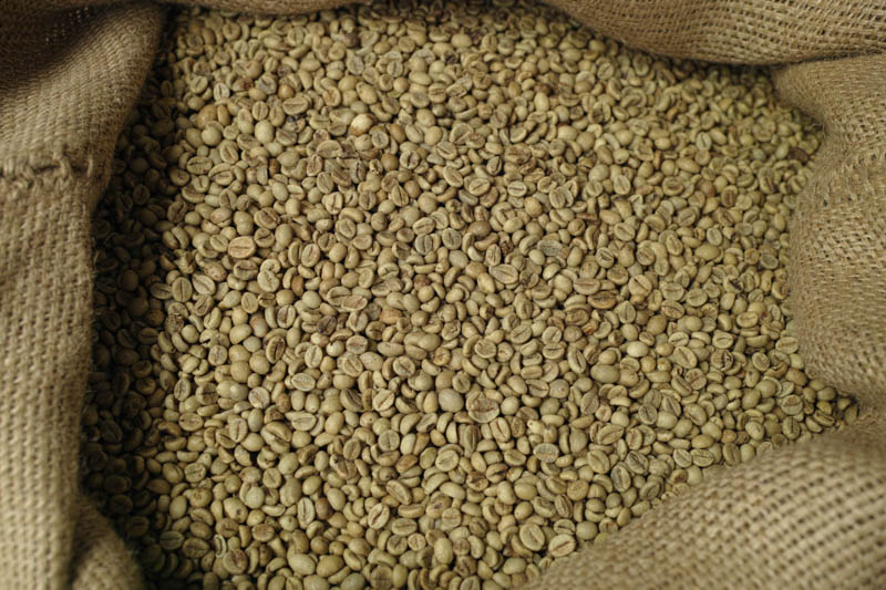 Robusta 18 Uot 1