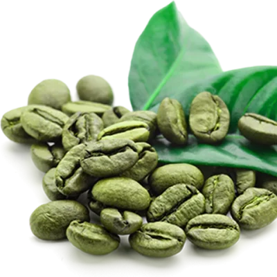 Unroasted Coffee Beans Raw Coffee Beans Green Coffee Beans Coffee Roaster Large